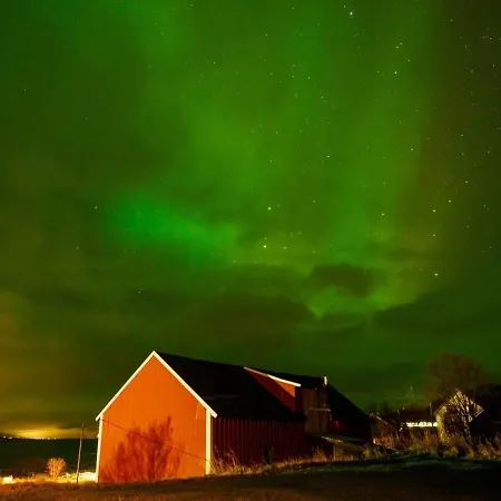 Old House - Check In Breathe Out