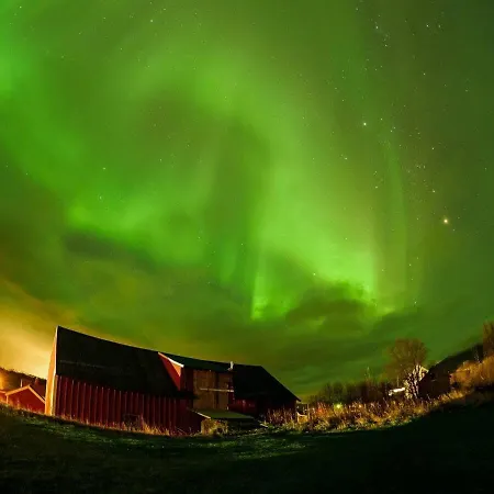 Old House - Check In Breathe Out *