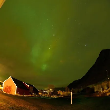 Old House - Check In Breathe Out