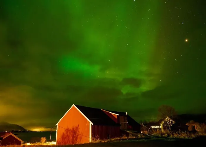 Old House - Check In Breathe Out