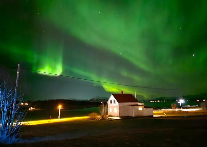 Old House - Check In Breathe Out *